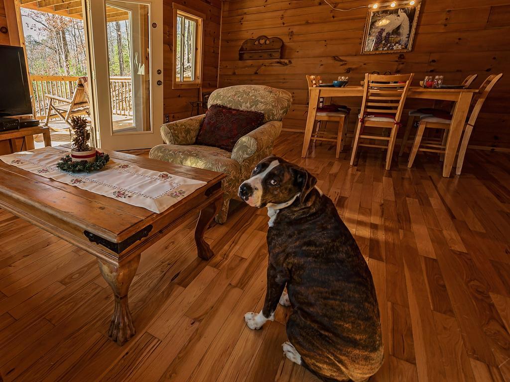 Log Cabin In Smoky Mountains Hotel Сивиървил Екстериор снимка