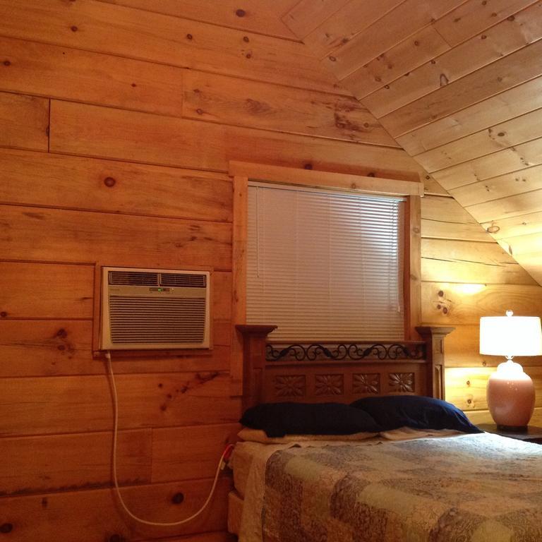 Log Cabin In Smoky Mountains Hotel Сивиървил Екстериор снимка